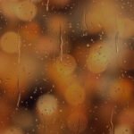 How To Blur Background In Zoom Meeting